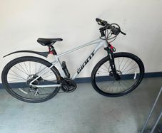 Bike (giant Roam)