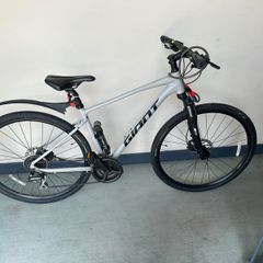 Bike (giant Roam)