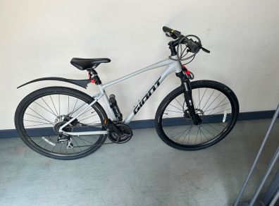 Bike (giant Roam)