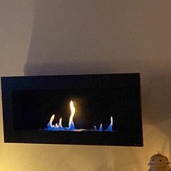 Bio Ethanol fire