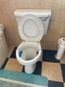 toilet