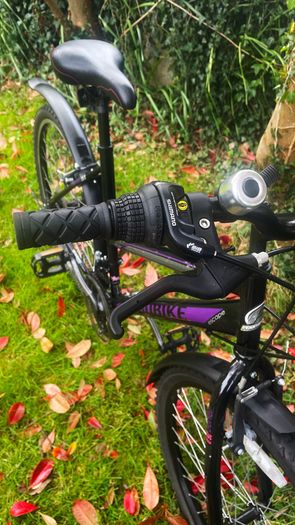 Ladies 26" Bicycle