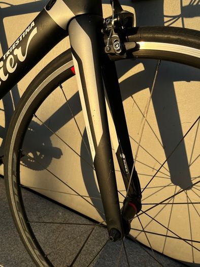 Wilier Triestina GTR Team Carbon Race Road Bike