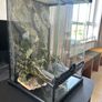 terrarium Image 2