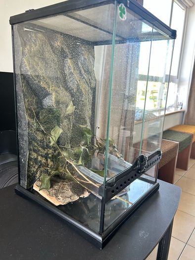 terrarium