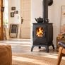 Brunner IRON DOG 01 Wood-Burning Stove, 7kW, A Rated, German Cast Iron Image 3