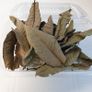 Guave Leaves 1000ml Image 2