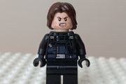 Lego Super Heroes minifigure