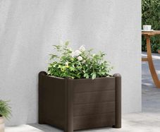 Garden Raised Bed