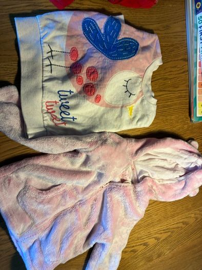 12-18 Months girls clothes (bundle)