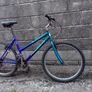 adult bike Image 4