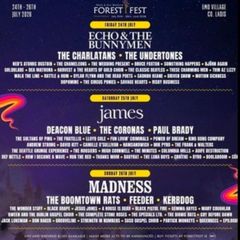 2 x Forest Fest wk end tics with Campervan
