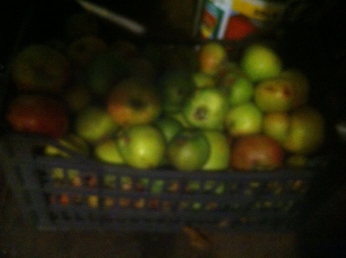 Cooking Apples