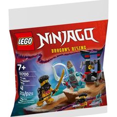LEGO Ninjago 30700 Arin vs. Dragonian Battle