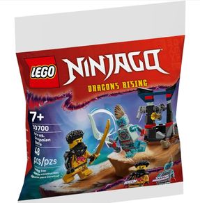 LEGO Ninjago 30700 Arin vs. Dragonian Battle
