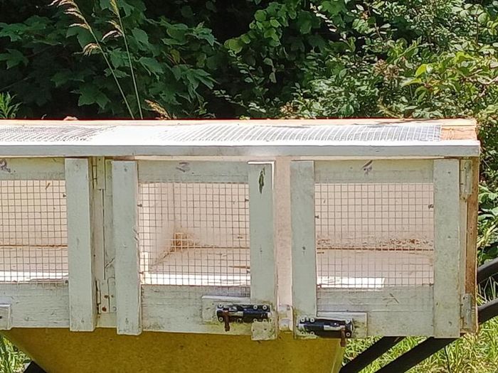 Multi-Compartment Wooden Quail Cage / Breeding Hutch