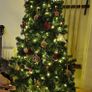 christmas tree Image 4