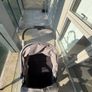 Buggy Image 5
