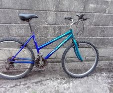 adult bike