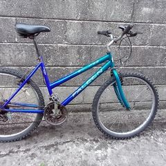 adult bike