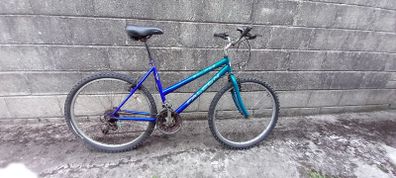 adult bike