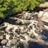 Dawid_753