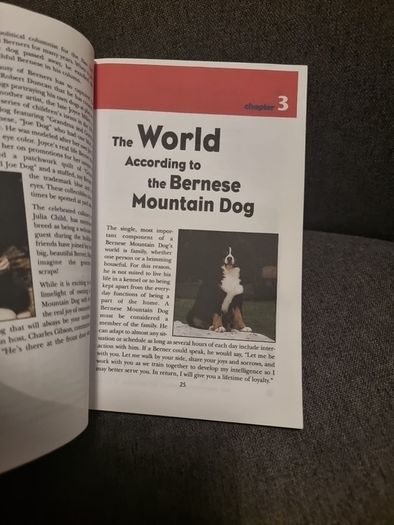 Bernese Mountain Dog : An Owner's Guide to a Happy Healthy Pe