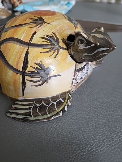 Tortoise bobbing head