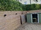 Garden maintenance Image 8