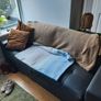 Three Seater Couch FREE Image 4