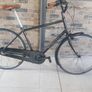 Mens bicycle ( can deliver) Image 2