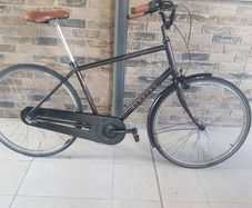 Mens bicycle ( can deliver)