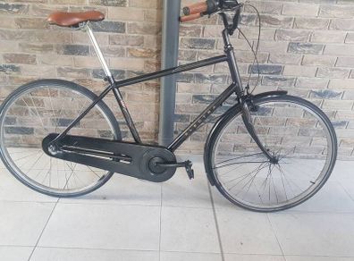 Mens bicycle ( can deliver)