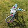 16 Inch Frozen Bike Image 4