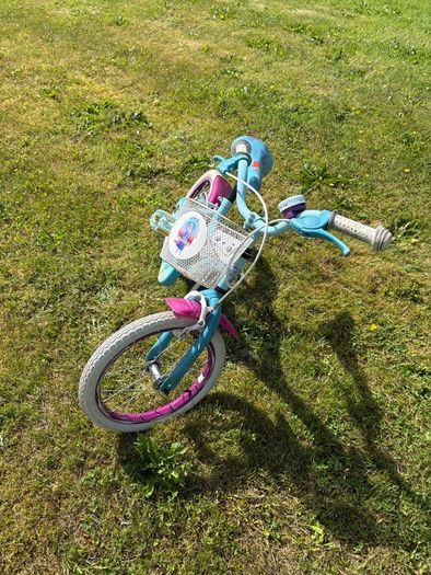 16 Inch Frozen Bike