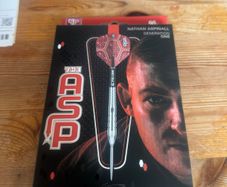 Nathan Aspinal SP Darts 24g