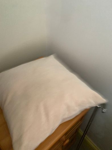 Cushion