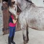 Pony for lease at livery yard Image 2