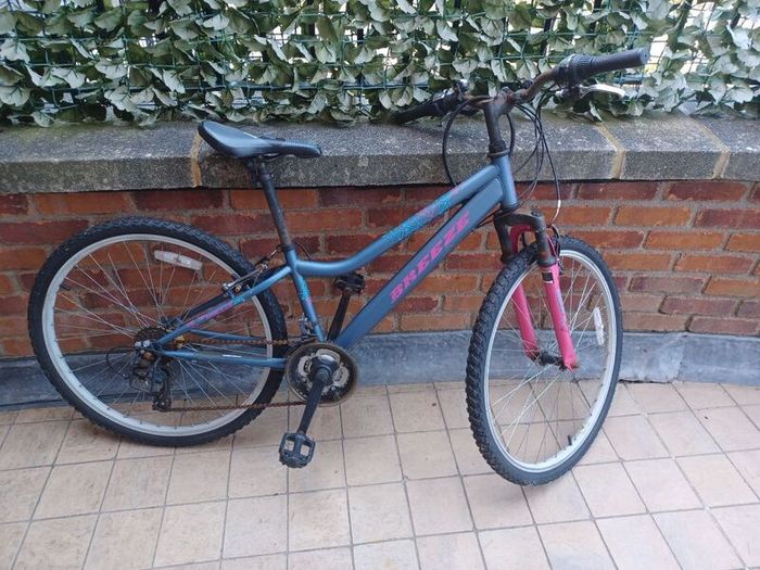 Mountain Bike