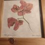 Set 2 Vintage Authentic Botanical Press Flowers Framed Wall Folk Art Image 8