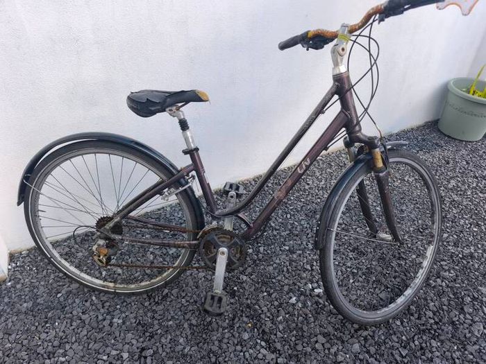 Giant LIV ladies bike