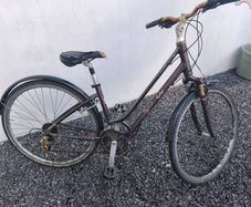 Giant LIV ladies bike