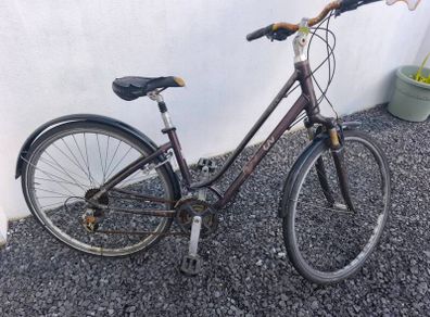 Giant LIV ladies bike