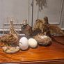 2 Taxidermy Birds Image 6