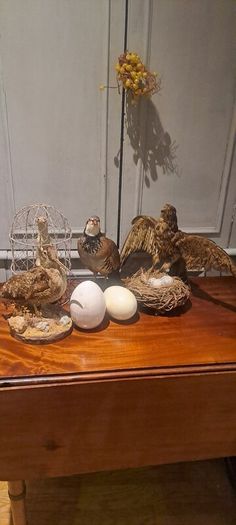 2 Taxidermy Birds