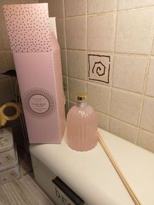 Fragrance diffuser