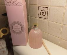 Fragrance diffuser