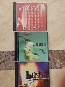 Bush 3 CD Lot