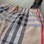 Burberry luxury swim shorts Image 2
