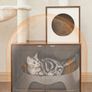 New 2 in 1 Cat Play Area - FREE Delivery Image 4